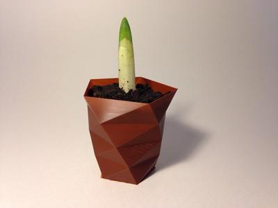 Customizable Twisted Polygon Vase