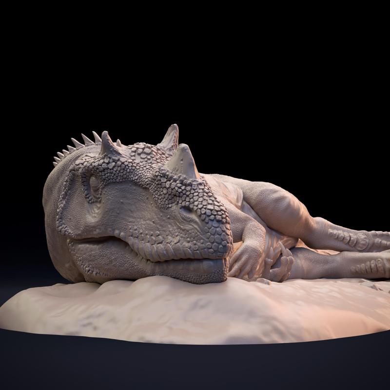 Ceratosaurus sleeping – dinosaur carnivore