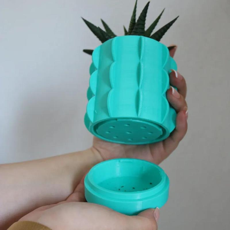 Cactus Vase / Planter