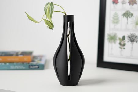 Propagation Vase