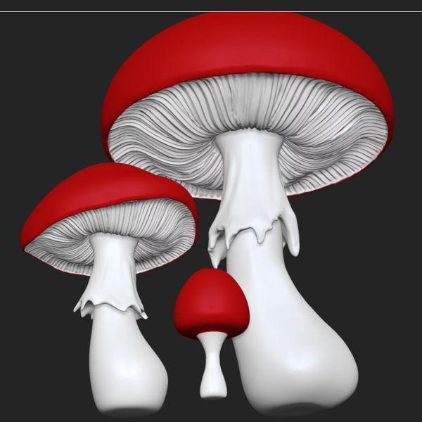 Amanita mushrooms, one piece and separate