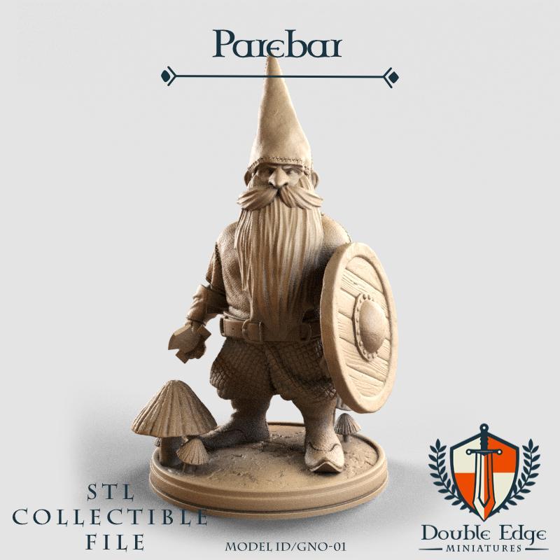 Parebar Gnome Warrior