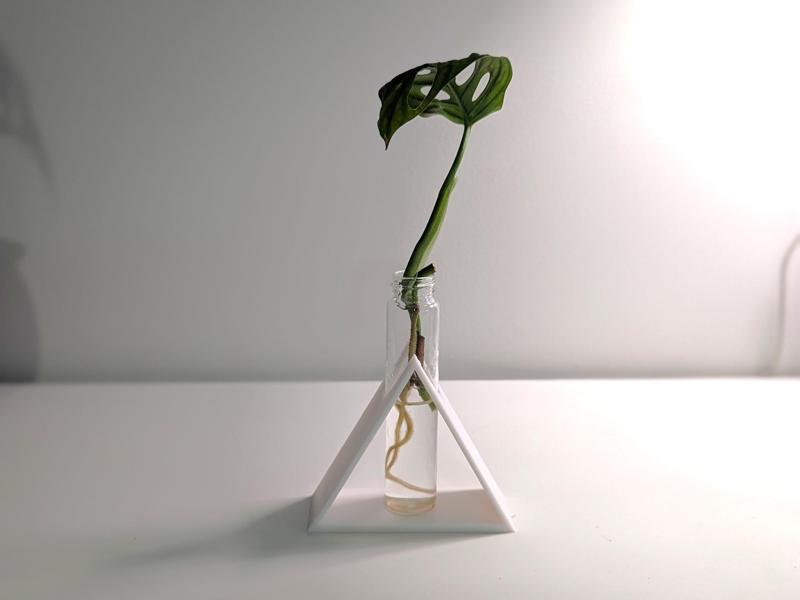 Triangle Plant Propagation Test Tube Holder