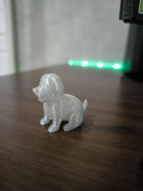 Cute Puppy Show Piece