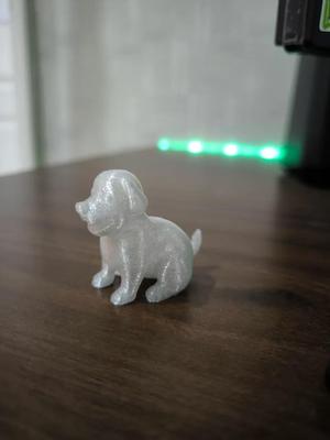 Cute Puppy Show Piece