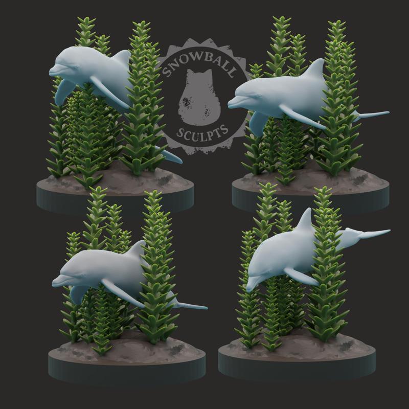 Dolphin Set
