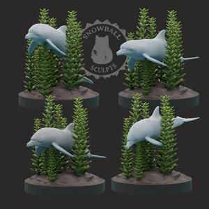 Dolphin Set