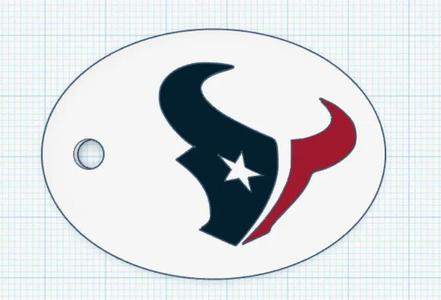 Texans Keychain
