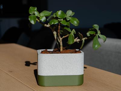 Self-Watering Flower Pot – Two-Tone Design
