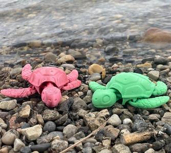 baby articulated turtle