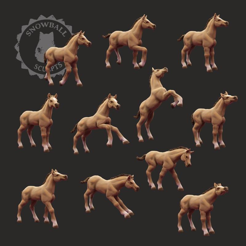 Foal Set