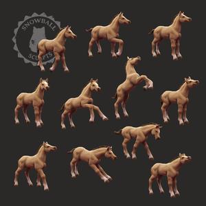 Foal Set