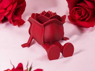 Valentine´s Rose BUDDY – Articulated legs