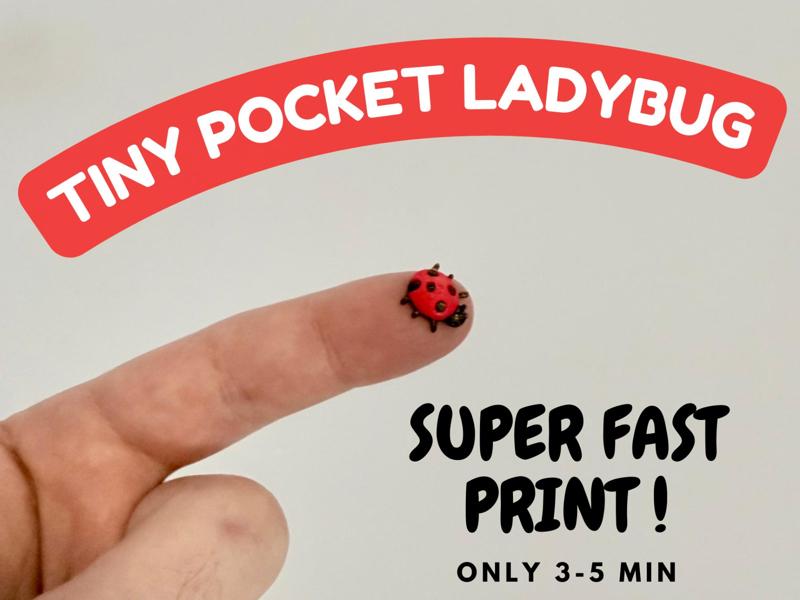Tiny Pocket Ladybug – Super Fast Print