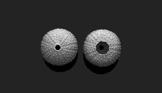 Sea Urchin – 3D Print – Aquarium