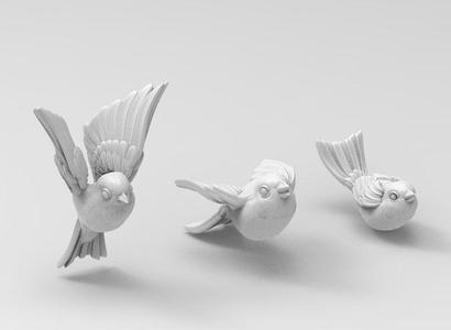 birds tit bullfinch Sparrow nightingale