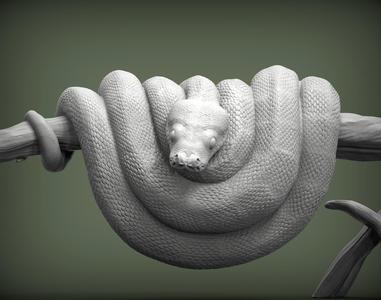 Green tree python