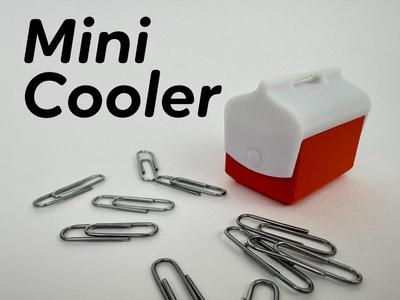 Mini Cooler