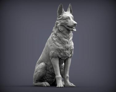 German Shepherd