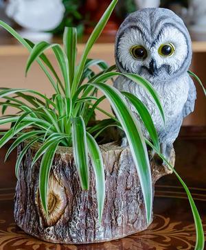 Owl themed planter/desk organizer/item holder