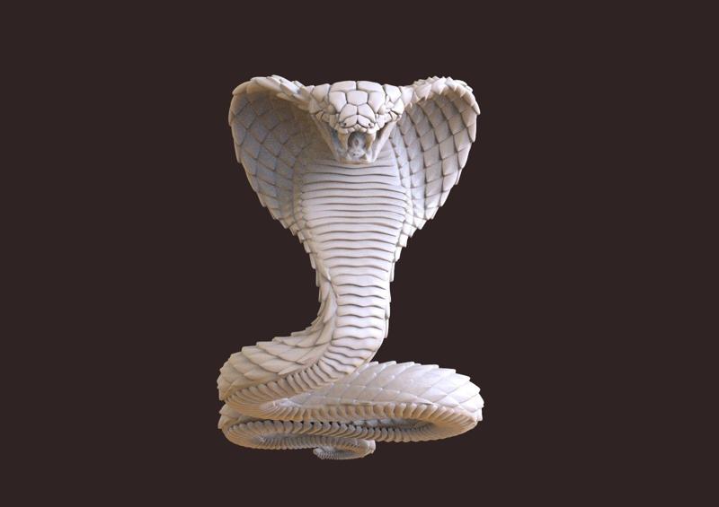 cobra snake
