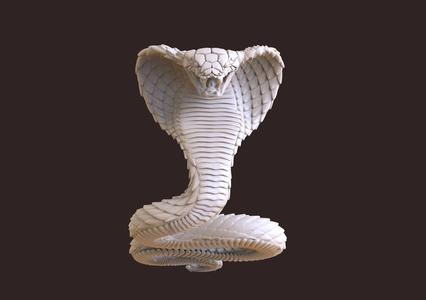 cobra snake