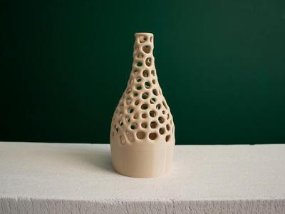 Voronoi Decoration Vase | Slimprint