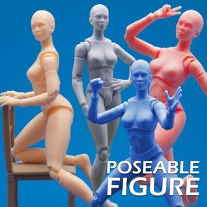 Articulated Poseable Female Figure