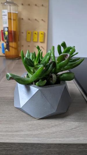 Flower pot / Vase