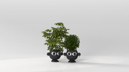 PLANTER – COUPLE POTS
