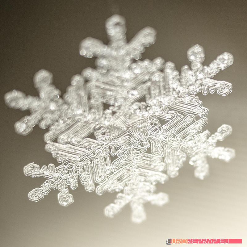 Real snowflake – Christmas Tree decoration – size: 65mm