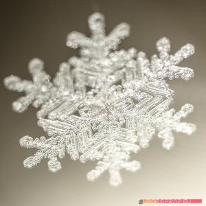 Real snowflake – Christmas Tree decoration – size: 65mm