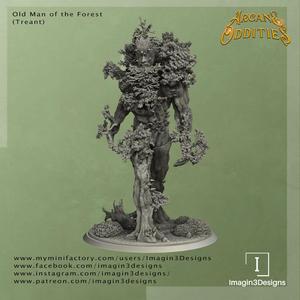 Old Man of the Forest (Treant)