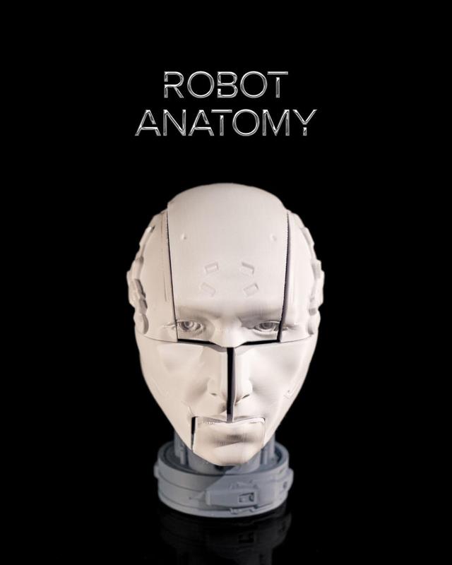 Robot Anatomy