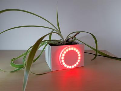 Flower pot connected