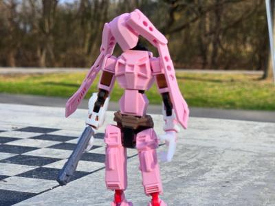 Dummy 13  – Mecha Girl Armor and Frame