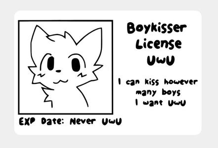 boykisser License   