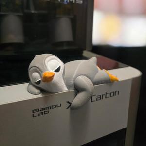 Sleeping Penguin On A Shelf 🐧