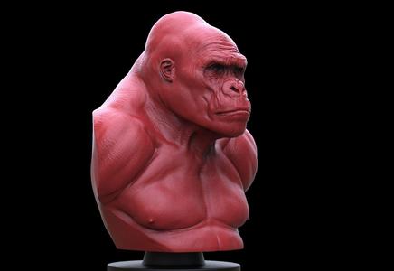 Gorilla Bust