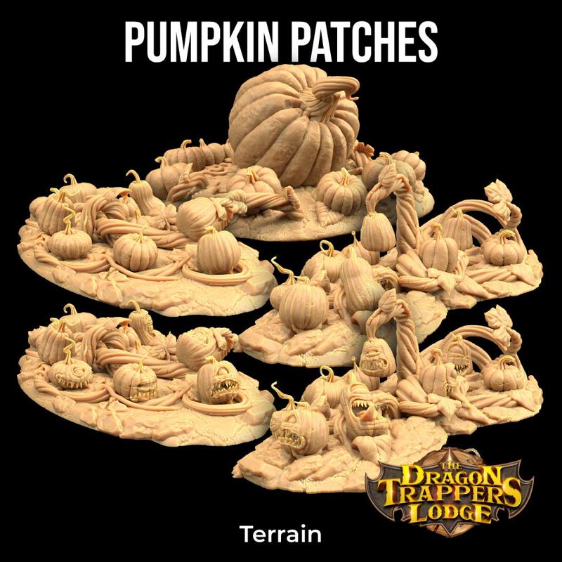 Pumpkins Patches