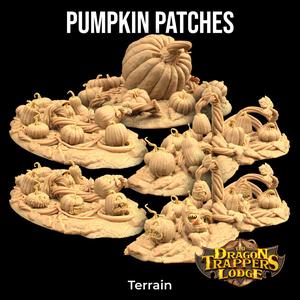 Pumpkins Patches
