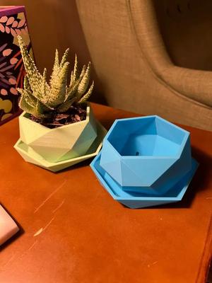Low-Poly Mini Plant Pot