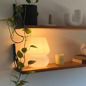 Mushroom Smooth Lamp | Max Fungi