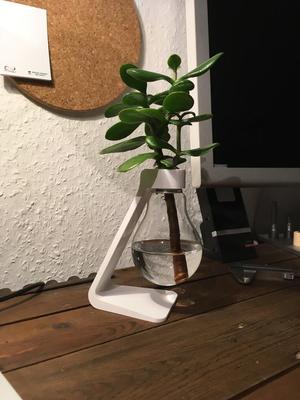 Light Bulb Vase