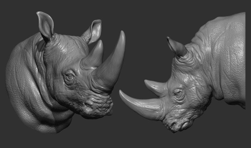 Rhinoceros head