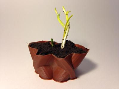 Customizable Freestyle Base Vase