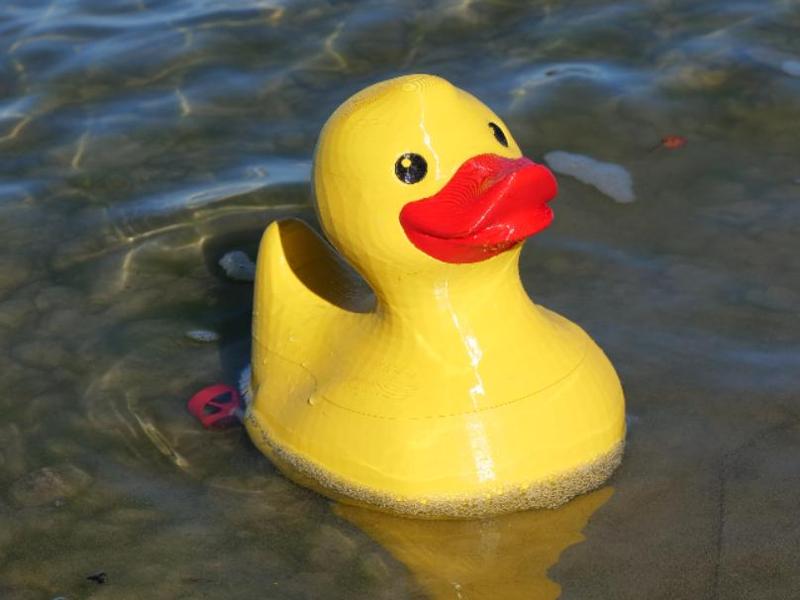 Renè Ruber Duck