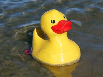 Renè Ruber Duck