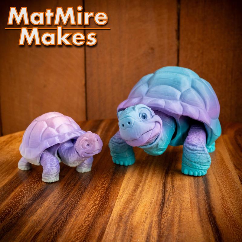 Tortoise - Articulated Figure
