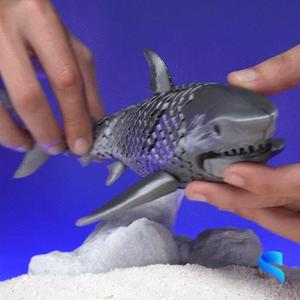 Realistic Articulated Fishes – 7 model set of realistic and diverse articulated models